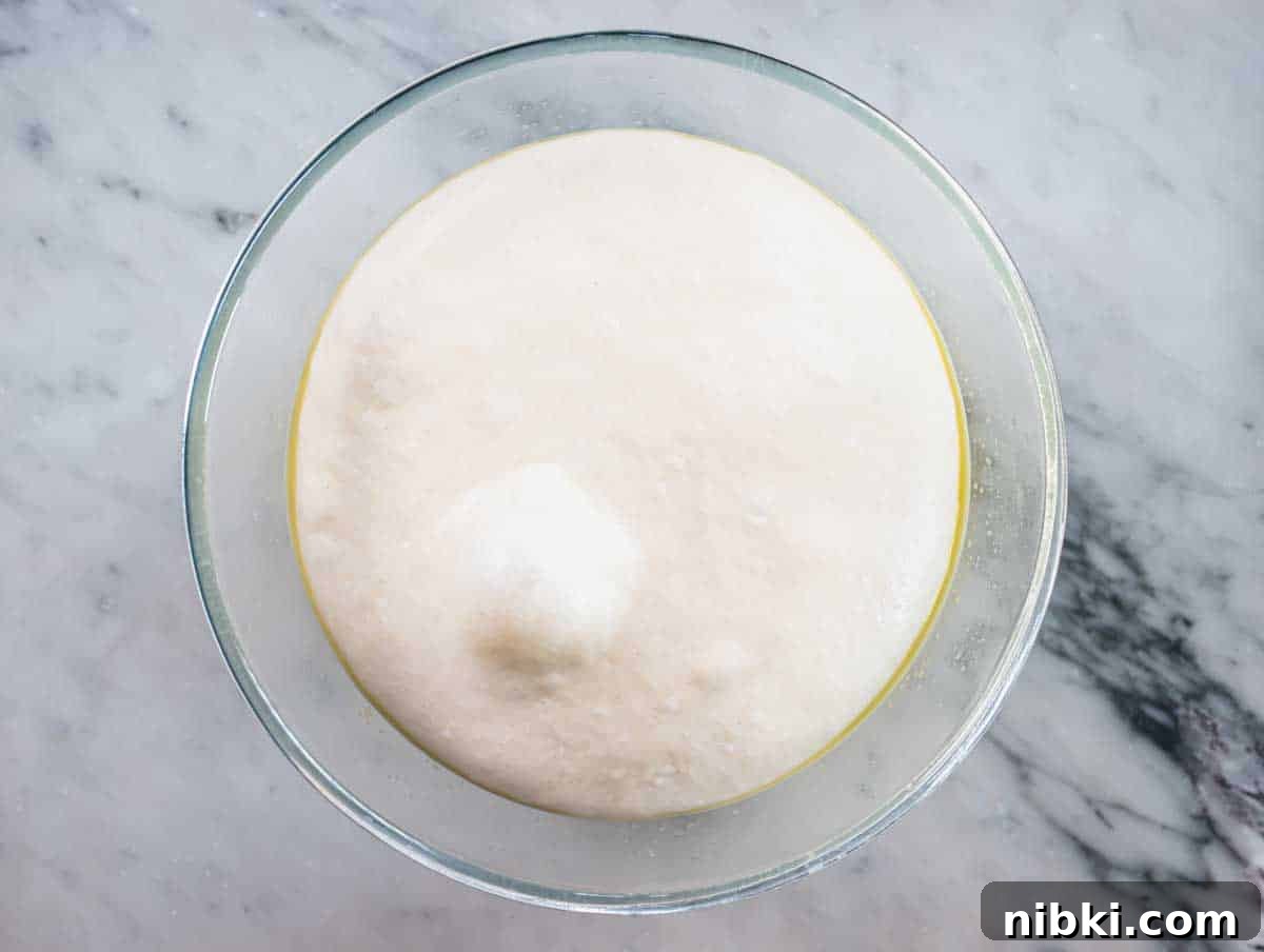 quick pizza dough proofed until doubled in size