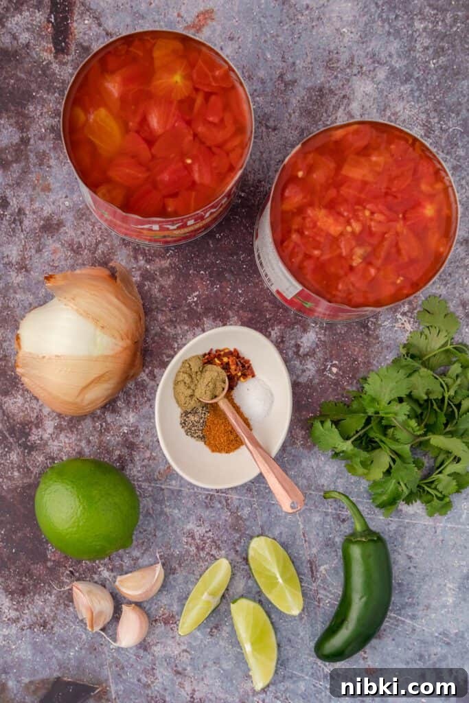 Copycat Restaurant-Style Salsa Recipe 3 salsa ingredients