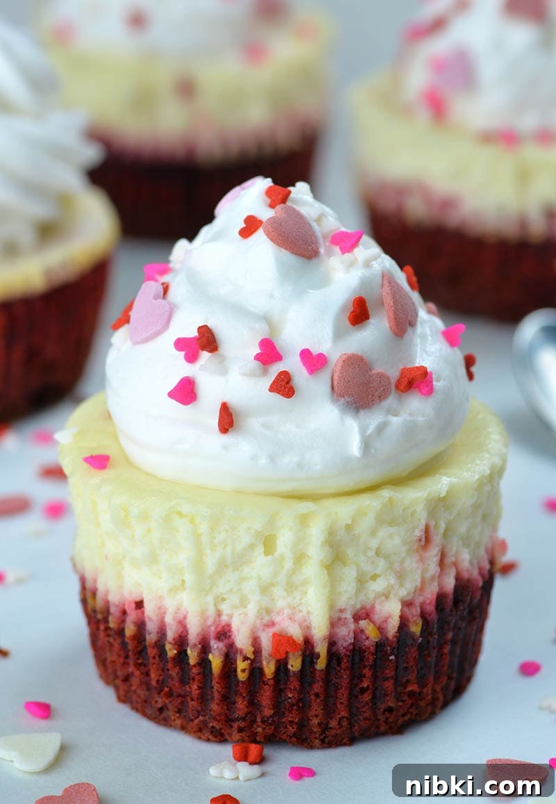 Red Velvet Cheesecake Cupcakes Recipe with Cream Cheese Frosting 2 These delicious mini bites are consisted of two baked layers and whipped cream on top.