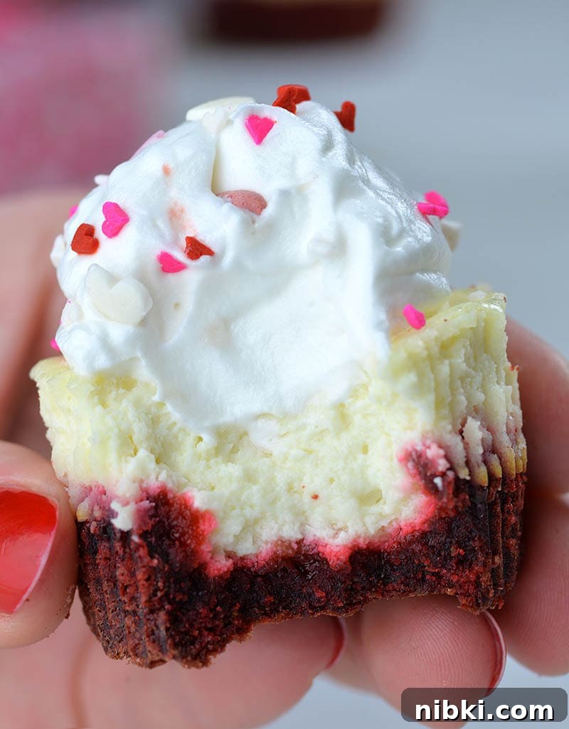 Red Velvet Cheesecake Cupcakes Recipe with Cream Cheese Frosting 3 Bitten Red Velvet Cheesecake Cupcakes in hand.