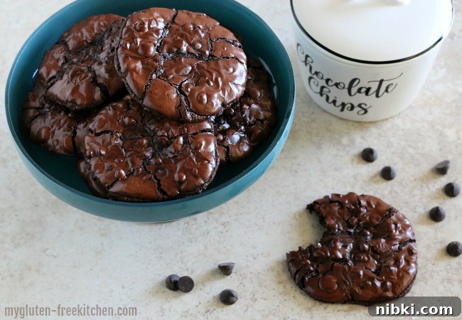 Mudslide Flourless Chocolate Cookies: Gluten and Dairy Free 2 Flourless Chocolate Cookies aka Gluten-free Mudslide Cookies