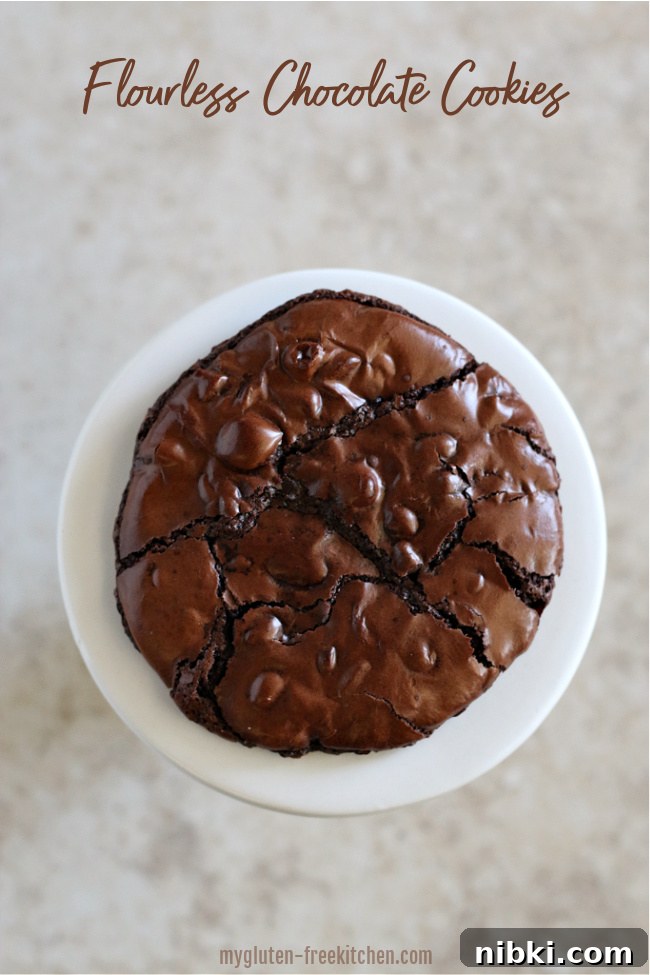 Mudslide Flourless Chocolate Cookies: Gluten and Dairy Free 4 single flourless chocolate cookie on a white plate