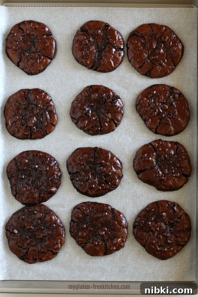 Mudslide Flourless Chocolate Cookies: Gluten and Dairy Free 6 Flourless Chocolate Mudslide Cookies just out of the oven!