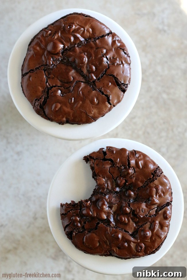 Mudslide Flourless Chocolate Cookies: Gluten and Dairy Free 8 Two Gluten-free Mudslide Cookies - one with a bite out of it