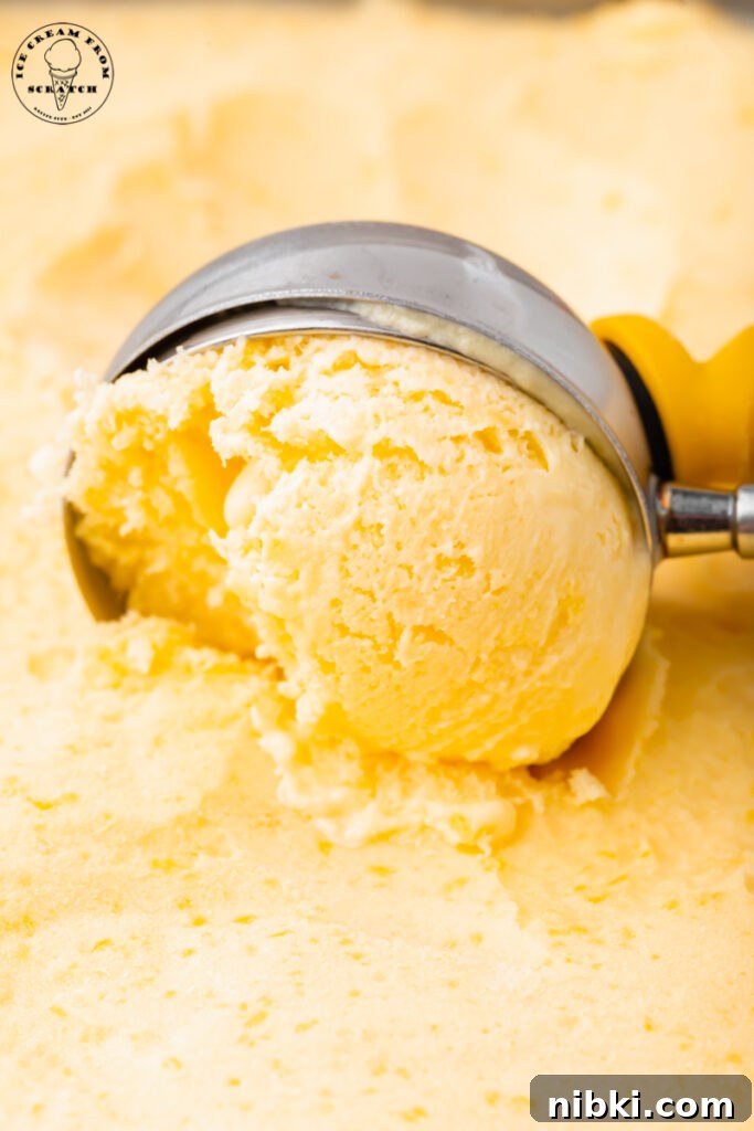 Homemade Mango Ice Cream Recipe 4 a metal ice cream scoop creating a scoop of mango ice cream, close up.