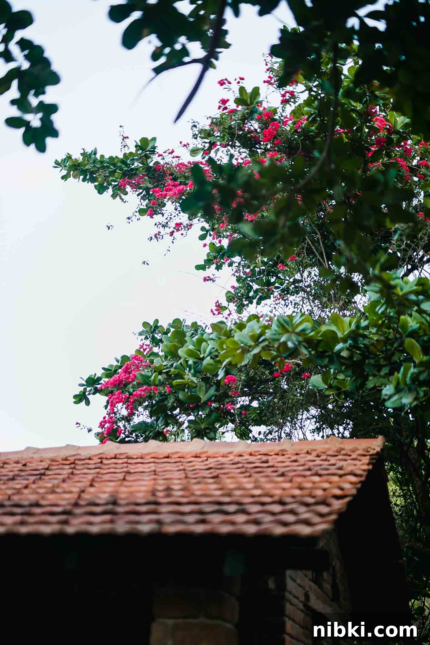 We're Moving: New Address and Service Updates 6 Auroville