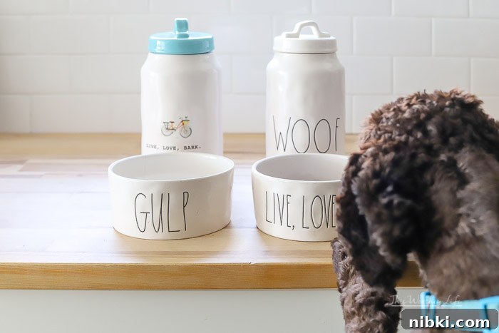 8 Daily Habits to Strengthen Your Bond With Your Dog 14 Rae Dunn products