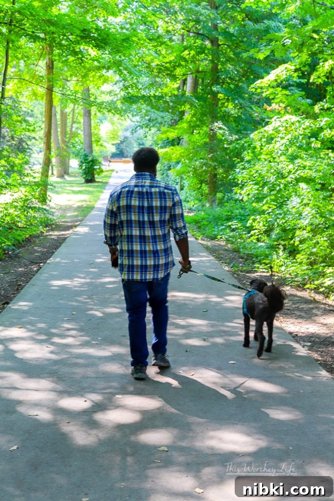 8 Daily Habits to Strengthen Your Bond With Your Dog 3 Dog Fall bucket list