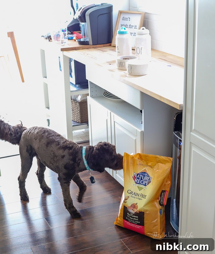 8 Daily Habits to Strengthen Your Bond With Your Dog 7 Rae Dunn products