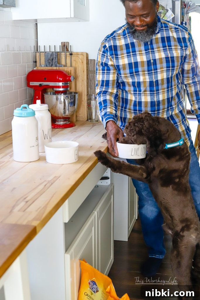 8 Daily Habits to Strengthen Your Bond With Your Dog 8 best dog food for dogs- Nature's Recipe