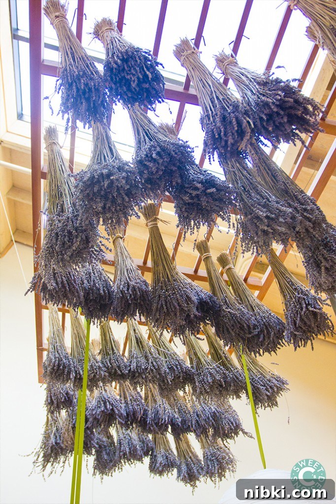 Fall Wine Tastings at Matanzas Creek Winery in Sonoma 8 lavender market