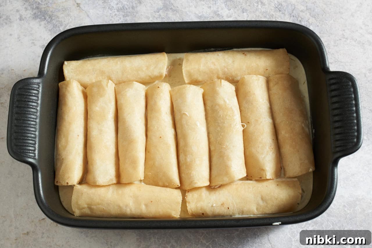 Chicken Enchiladas Suizas: Creamy Tomatillo & Cheese 5 Chicken enchiladas rolled up in a casserole dish, with the creamy suiza sauce on the bottom.