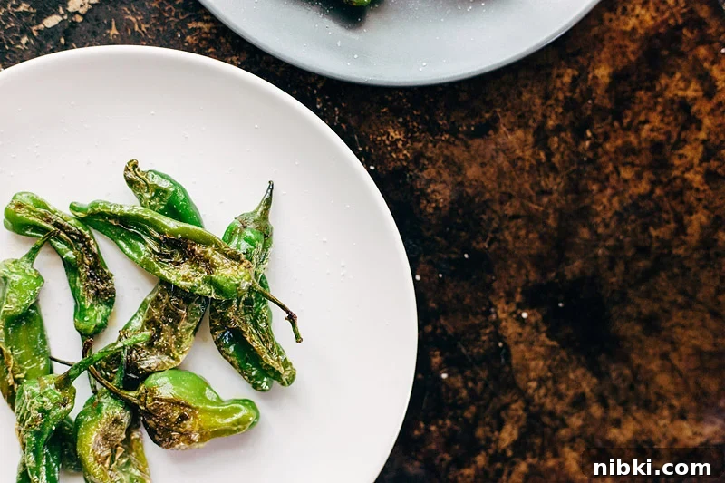 How to Blister Shishito Peppers on the Stovetop 2 blistered shishito peppers on a plate