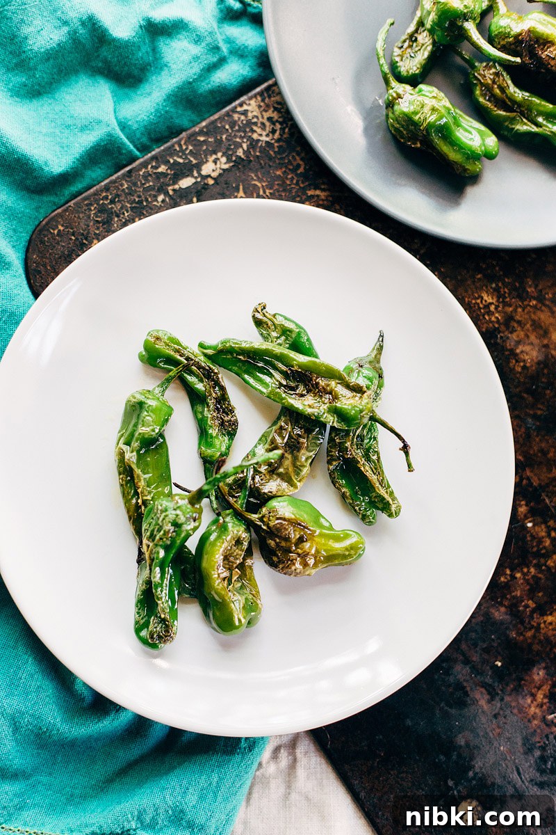 How to Blister Shishito Peppers on the Stovetop 4 shishito peppers on a plate