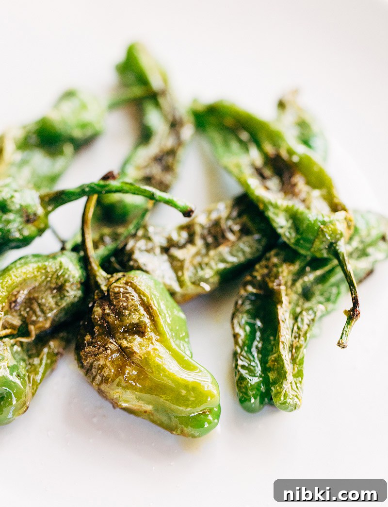 How to Blister Shishito Peppers on the Stovetop 6 cooked peppers up close