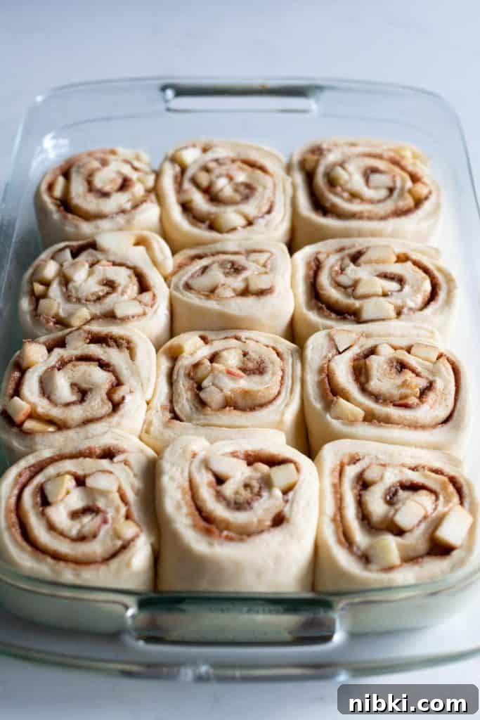 Apple Cinnamon Rolls Recipe with Brown Sugar Glaze 12 apple cinnamon rolls after rising and before baking