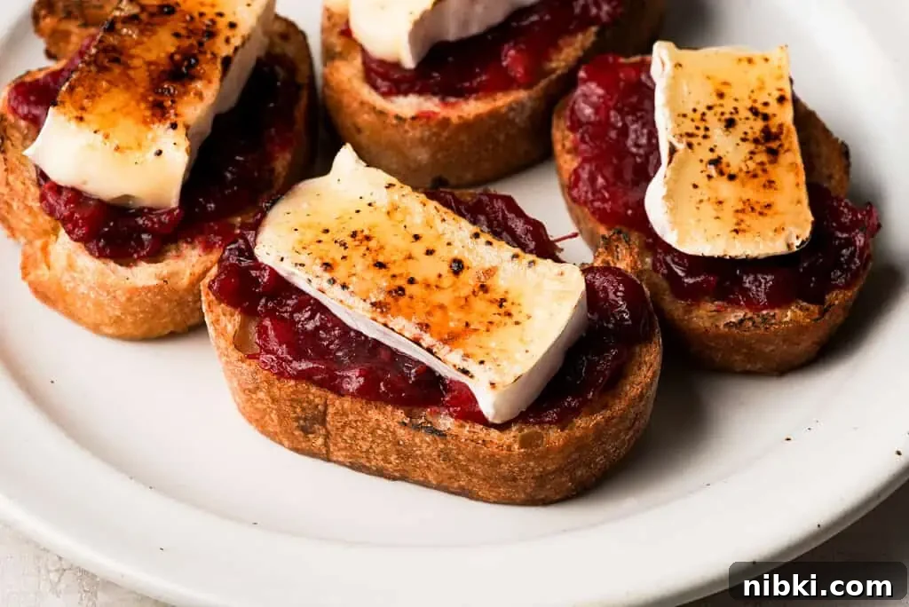 crostini vs bruschetta plated cranberry and brûléed brie crostini