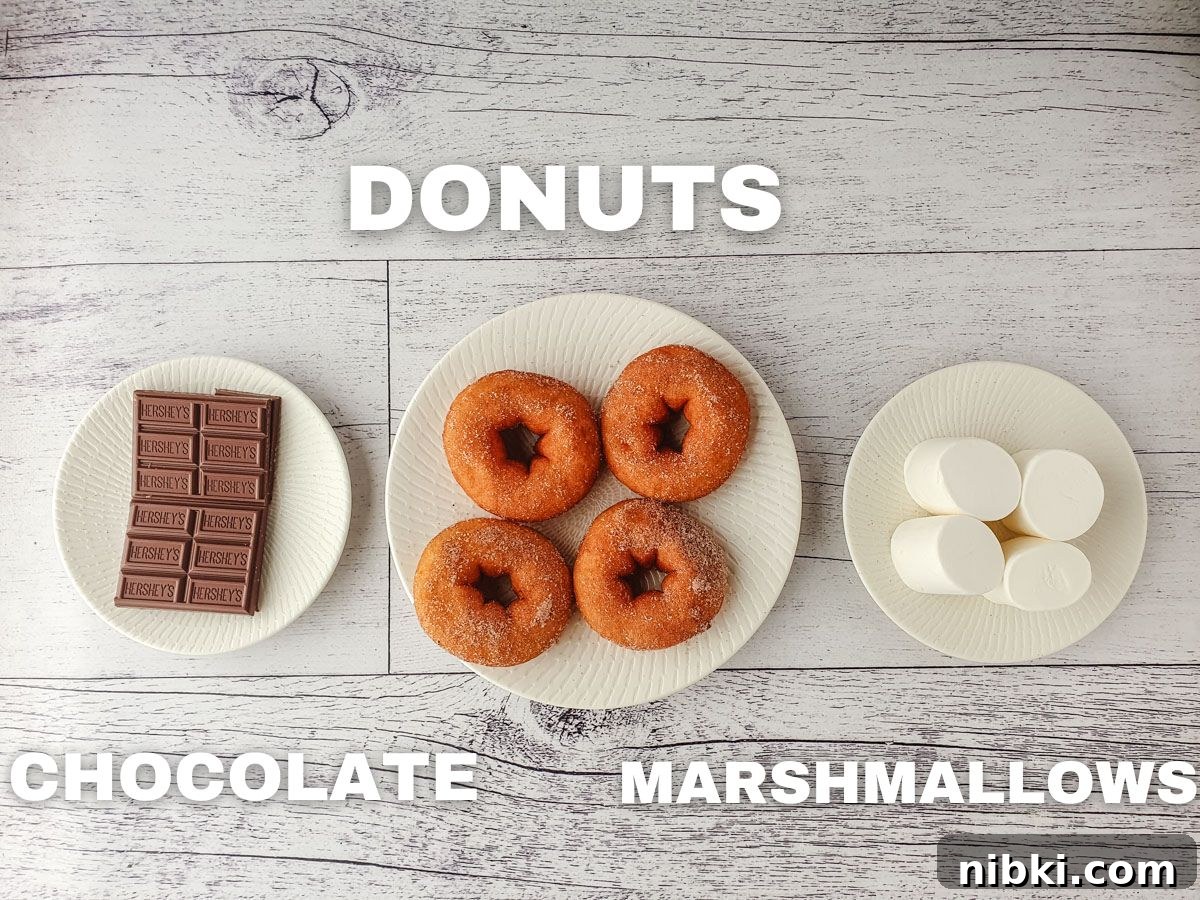 S'mores Donuts Recipe: Chocolate, Graham and Toasted Marshmallow 4 Ingredients, chocolate, plain donuts, marshmallows.