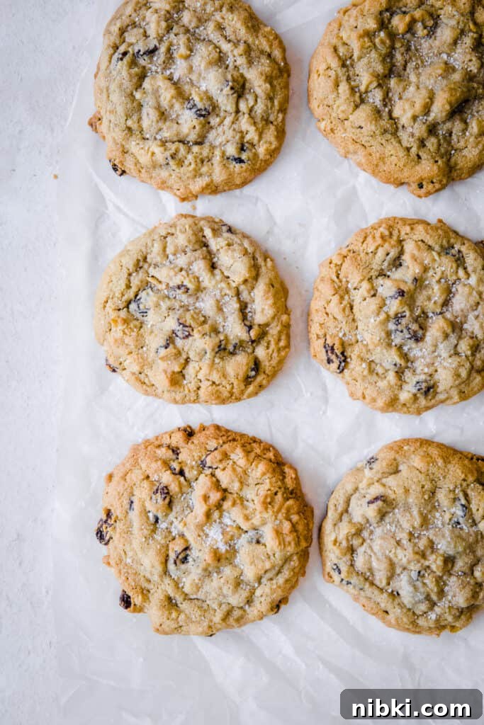 Classic Chewy Gluten-Free Oatmeal Raisin Cookies Recipe 10 cookies on a white background