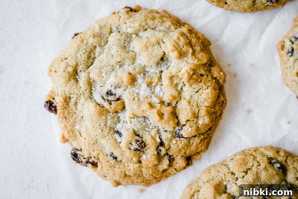 Classic Chewy Gluten-Free Oatmeal Raisin Cookies Recipe 4 cookies on a white background