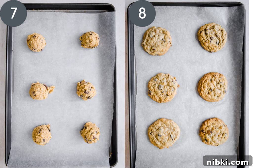 Classic Chewy Gluten-Free Oatmeal Raisin Cookies Recipe 7 cookies on baking sheet