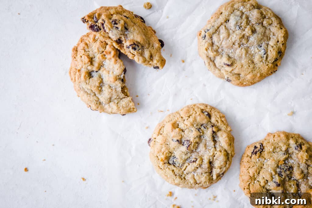 Classic Chewy Gluten-Free Oatmeal Raisin Cookies Recipe 8 cookies on a white background