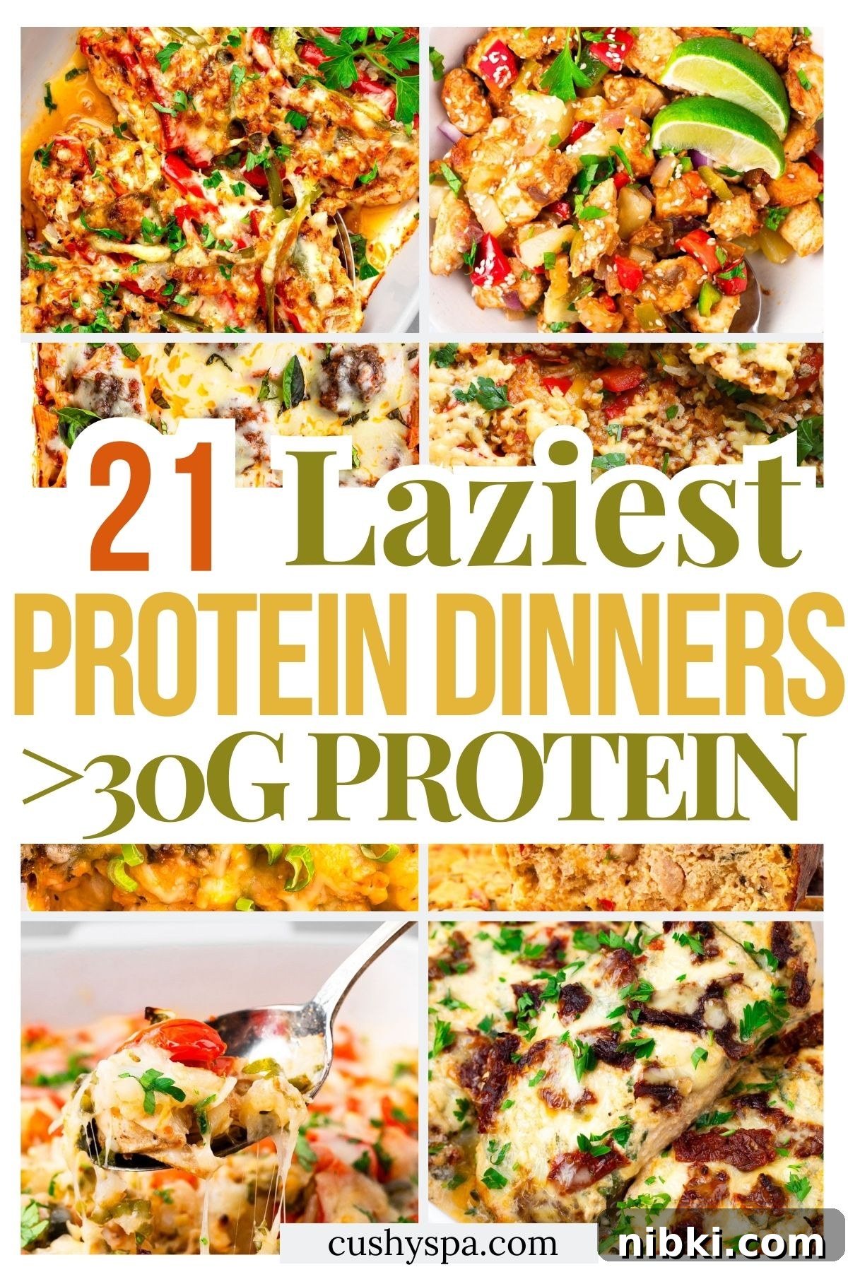 27 Quick High-Protein Dinners with 30+g Protein 2 27 Lazy High Protein Dinners with 30+ Grams Protein