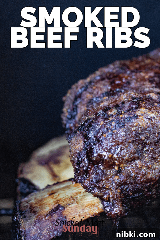 How to Smoke Beef Chuck Ribs for Tender, Juicy Results 2 Smoked beef ribs or dino ribs are incredibly tasty and make a great barbecue wow moment
