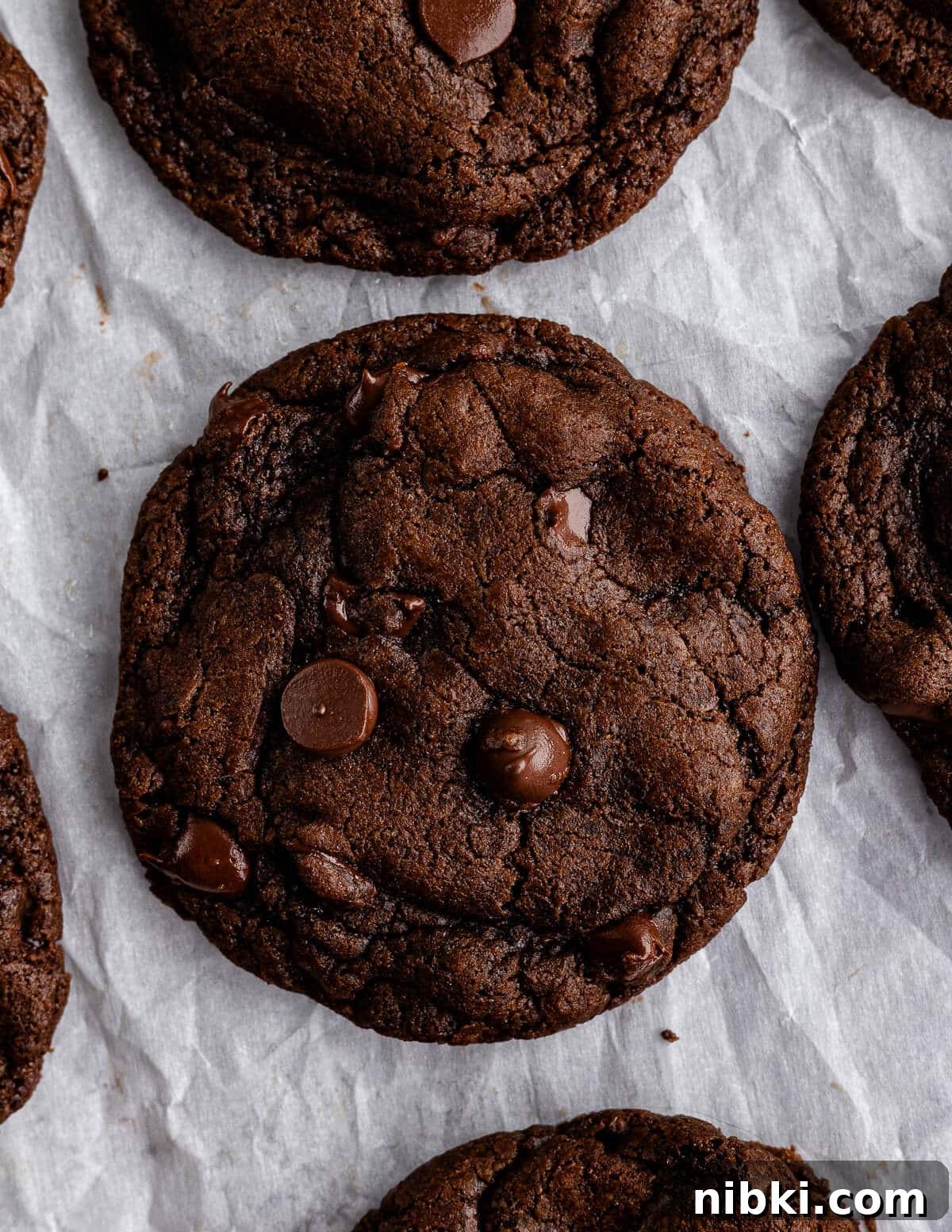 close up of a chocolate cookie.