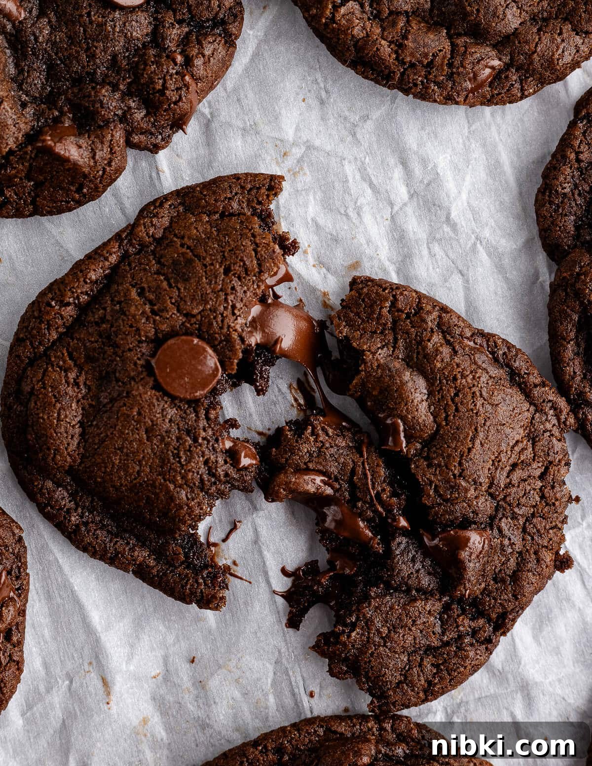 chocolate cookie broken in half.