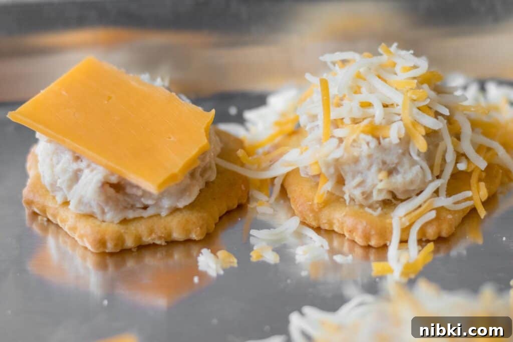 Mini Tuna Melt Bites on Crispy Crackers 3 two raw tuna melts on crackers, one with sliced cheddar and one with shredded cheese