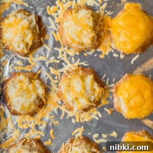 Mini Tuna Melt Bites on Crispy Crackers 7 tiny tuna melts on foil