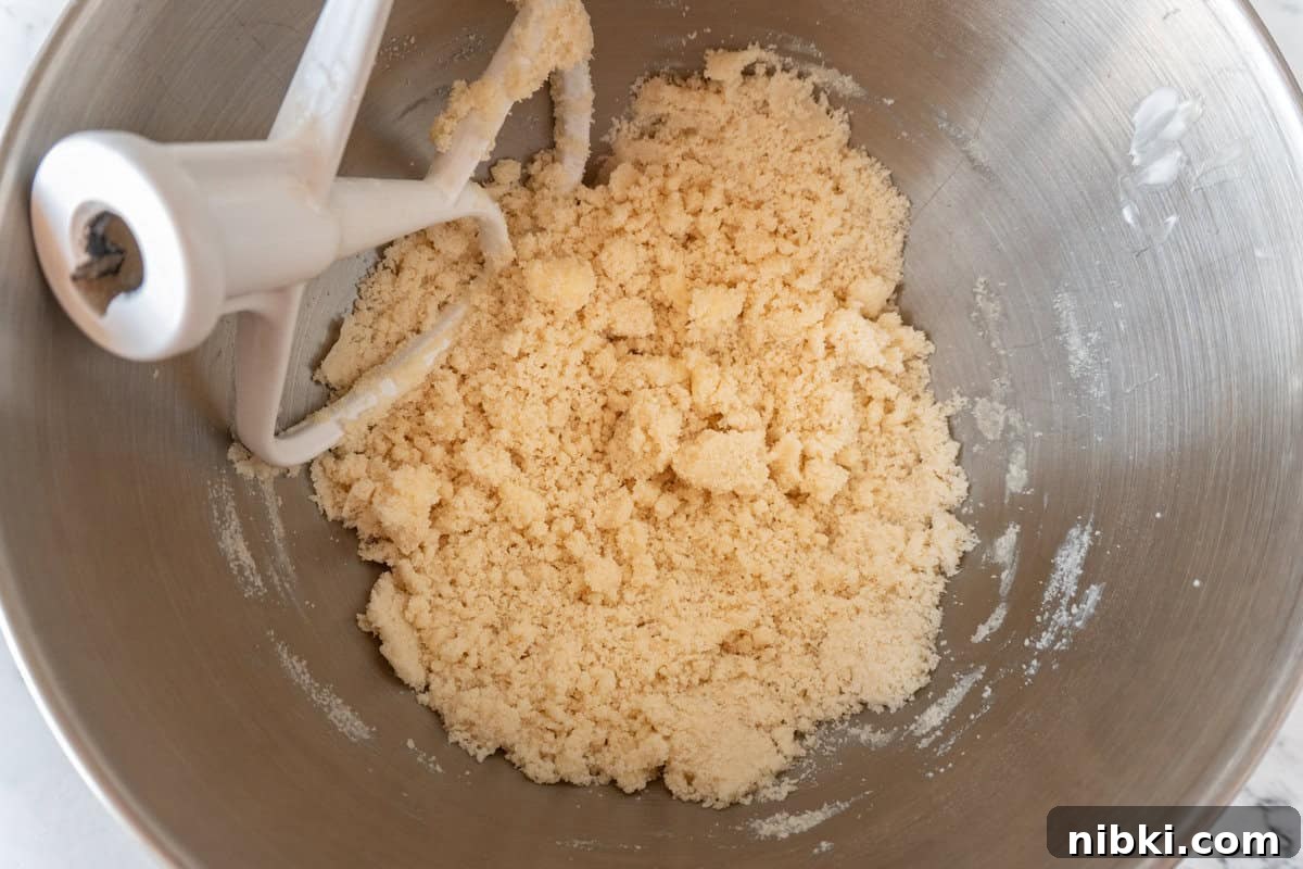 sandy texture of butter and dry ingredients mixed.