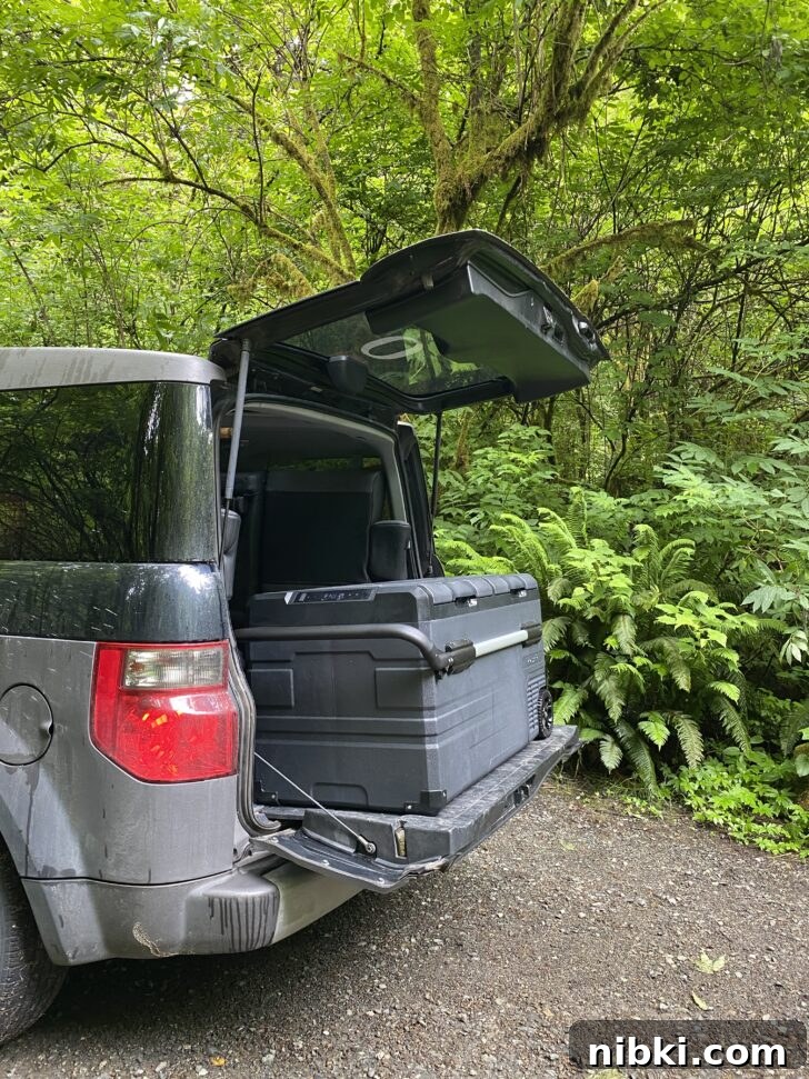 Newair cooler in back of car at campground