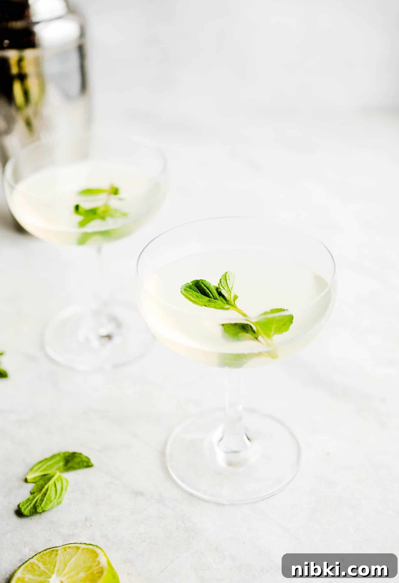 Two gimlet cocktails with fresh mint garnishes on top.