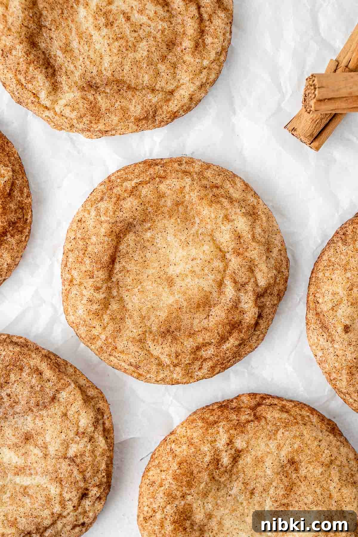 Dairy free snickerdoodles.