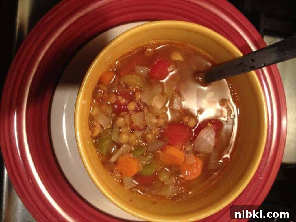 Week 1 Plant-Based Budget Challenge: Meal Plan for Two 2 Bowl full of veggie lentil soup.