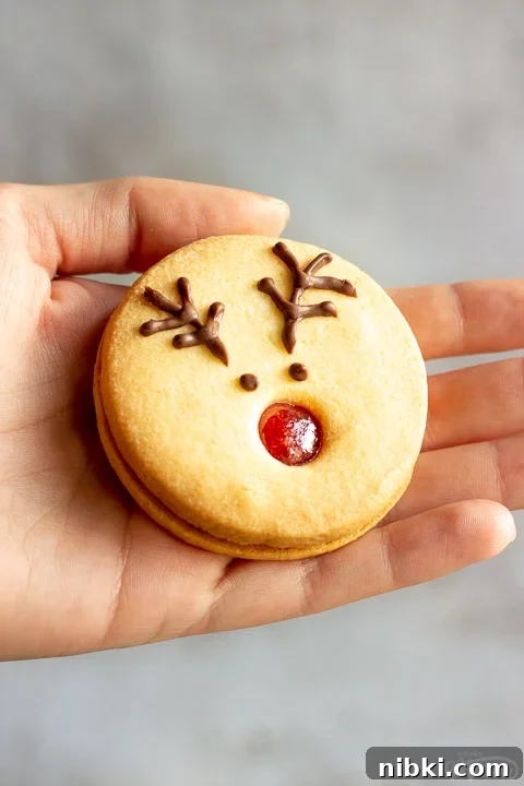 Someone holding a reindeer cookie up against a grey/off white backdrop