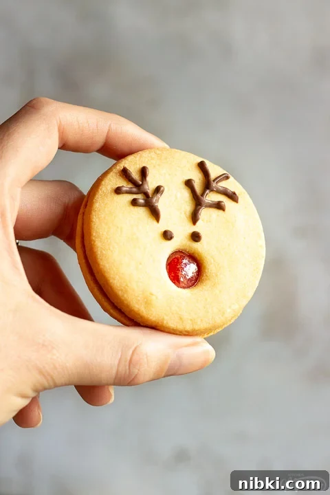 Someone holding a reindeer cookie up against a grey/off white backdrop