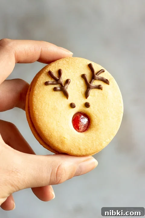 Someone holding a reindeer cookie up against a grey/off white backdrop