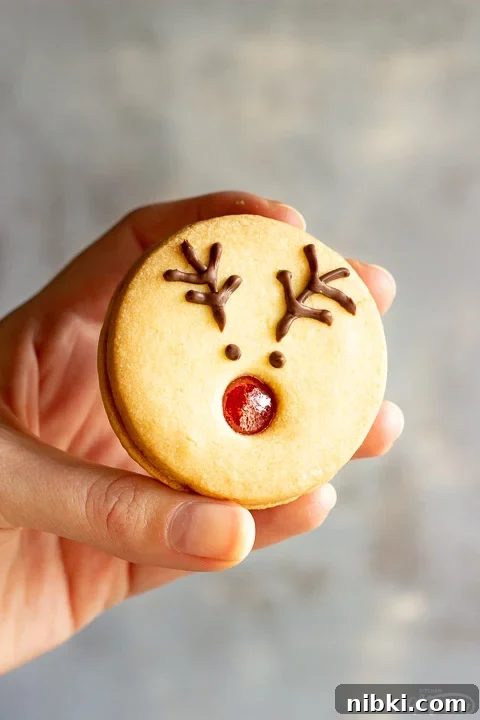 Someone holding a reindeer cookie up against a grey/off white backdrop