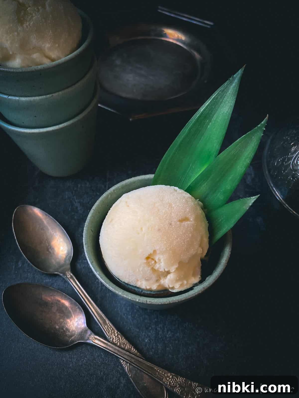 no churn vegan pineapple coconut ice cream
