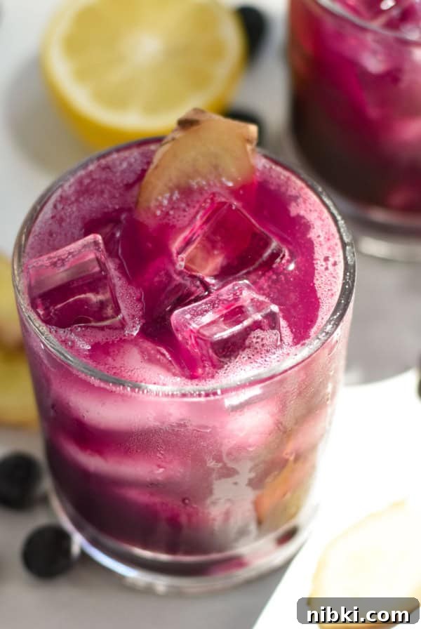 Two blueberry drinks surrounded by blueberries and ginger slices.