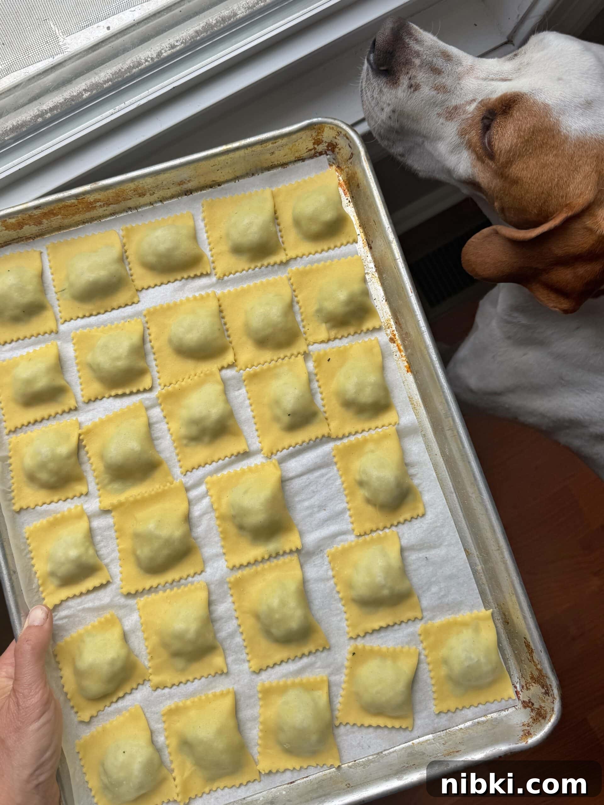 Homemade Gluten-Free Spinach and Ricotta Ravioli 16 img 23265 28