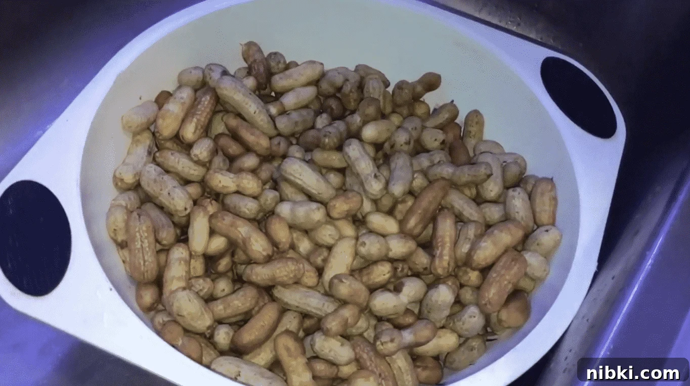 Instant Pot Southern-Style Boiled Peanuts Recipe 2 img 23822 2