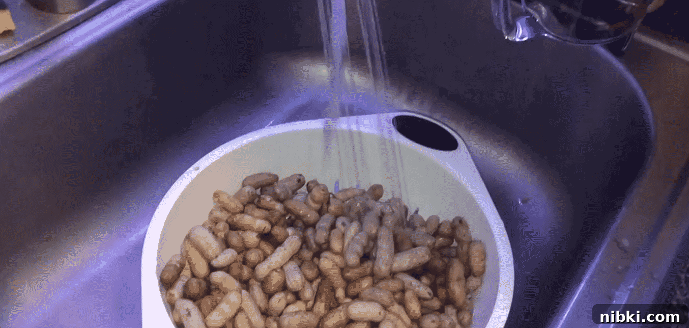 Instant Pot Southern-Style Boiled Peanuts Recipe 3 img 23822 3