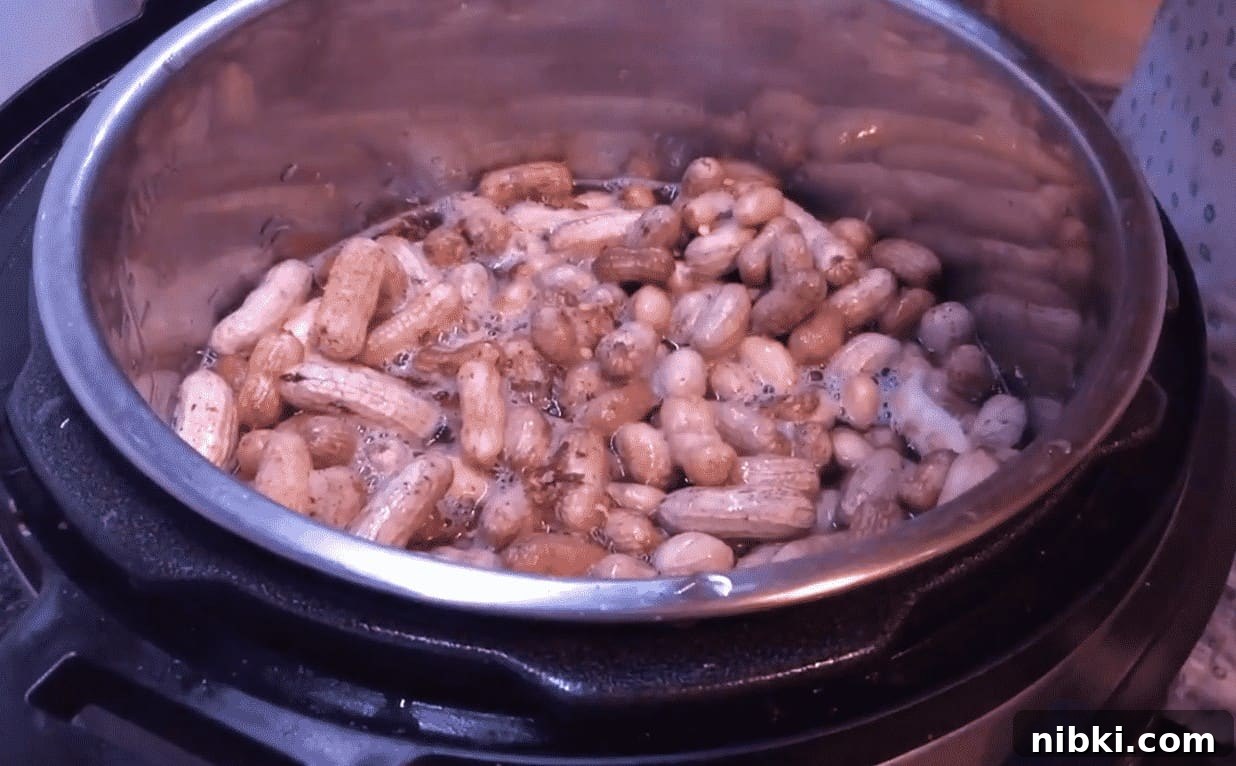 Instant Pot Southern-Style Boiled Peanuts Recipe 6 img 23822 6