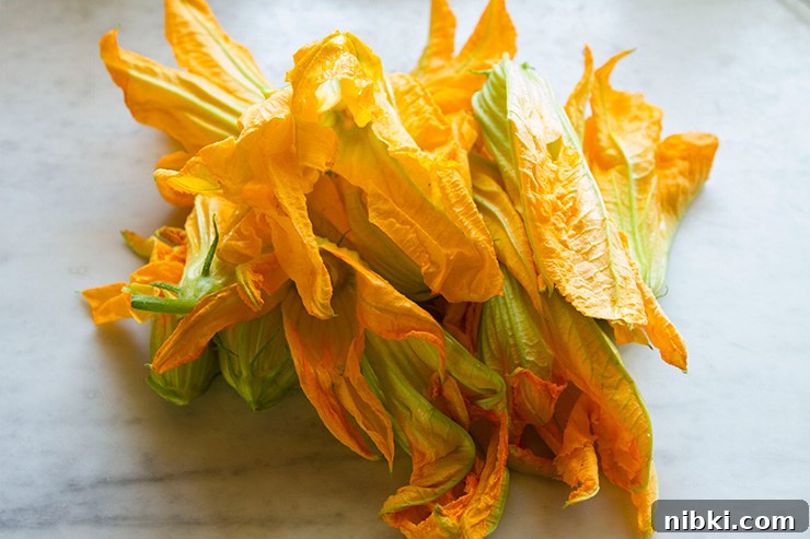 Caprese Zucchini Flowers Filled with Mozzarella and Basil 3 Preparing zucchini flowers