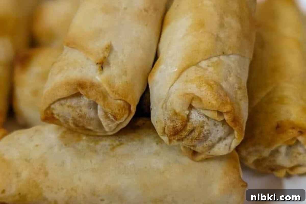 Air Fryer Vegetable Appetizers Meat Lovers Cannot Resist 6 Spring rolls on a plate