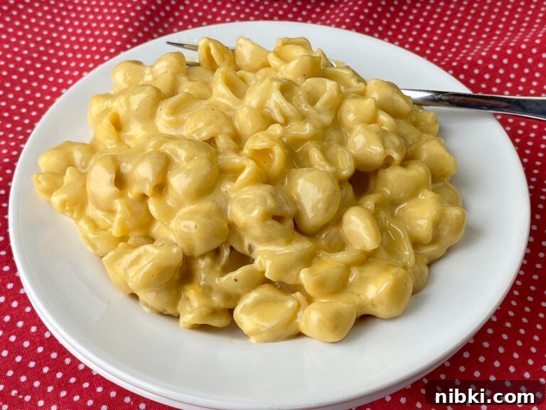 Creamy Instant Pot Mac and Cheese with Velveeta 2 Plate of delicious mac and cheese made in the Instant pot